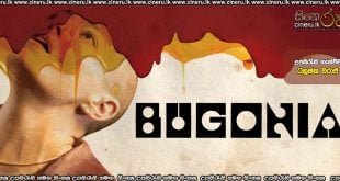 Bugonia (2025) Sinhala Subtitles