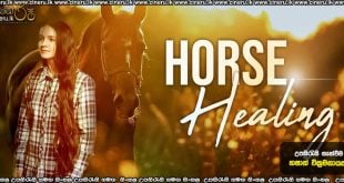 Horse Healing (2025) Sinhala Subtitles