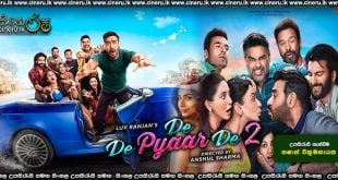 De De Pyaar De 2 (2025) Sinhala Subtitles
