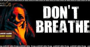 Don’t Breathe (2016) Sinhala Subtitles