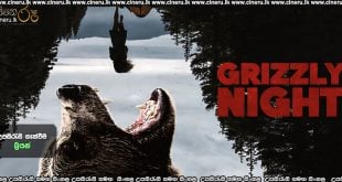 Grizzly Night (2026) Sinhala Subtitles