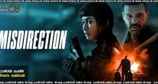 Misdirection (2026) Sinhala Subtitles