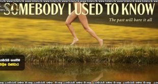 Somebody I Used to Know (2023) Sinhala Subtitles