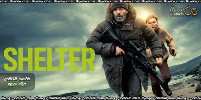 Shelter (2026) Sinhala Subtitles