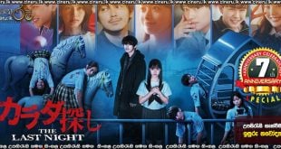 ReMember The Last Night (2022) Sinhala Subtitles