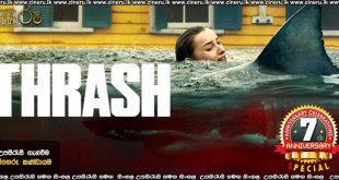Thrash (2026) Sinhala Subtitles