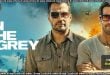 In The Grey (2026) Sinhala Subtitles