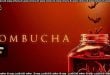 Kombucha (2026) Sinhala Subtitles