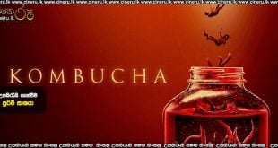 Kombucha (2026) Sinhala Subtitles