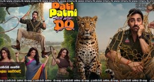 Pati Patni Aur Woh Do (2026) Sinhala Subtitles
